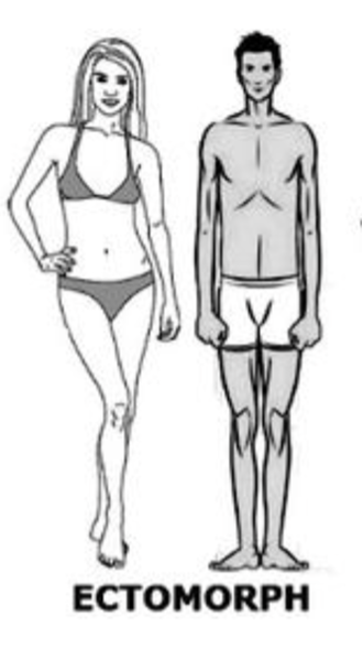 Ectomorphs